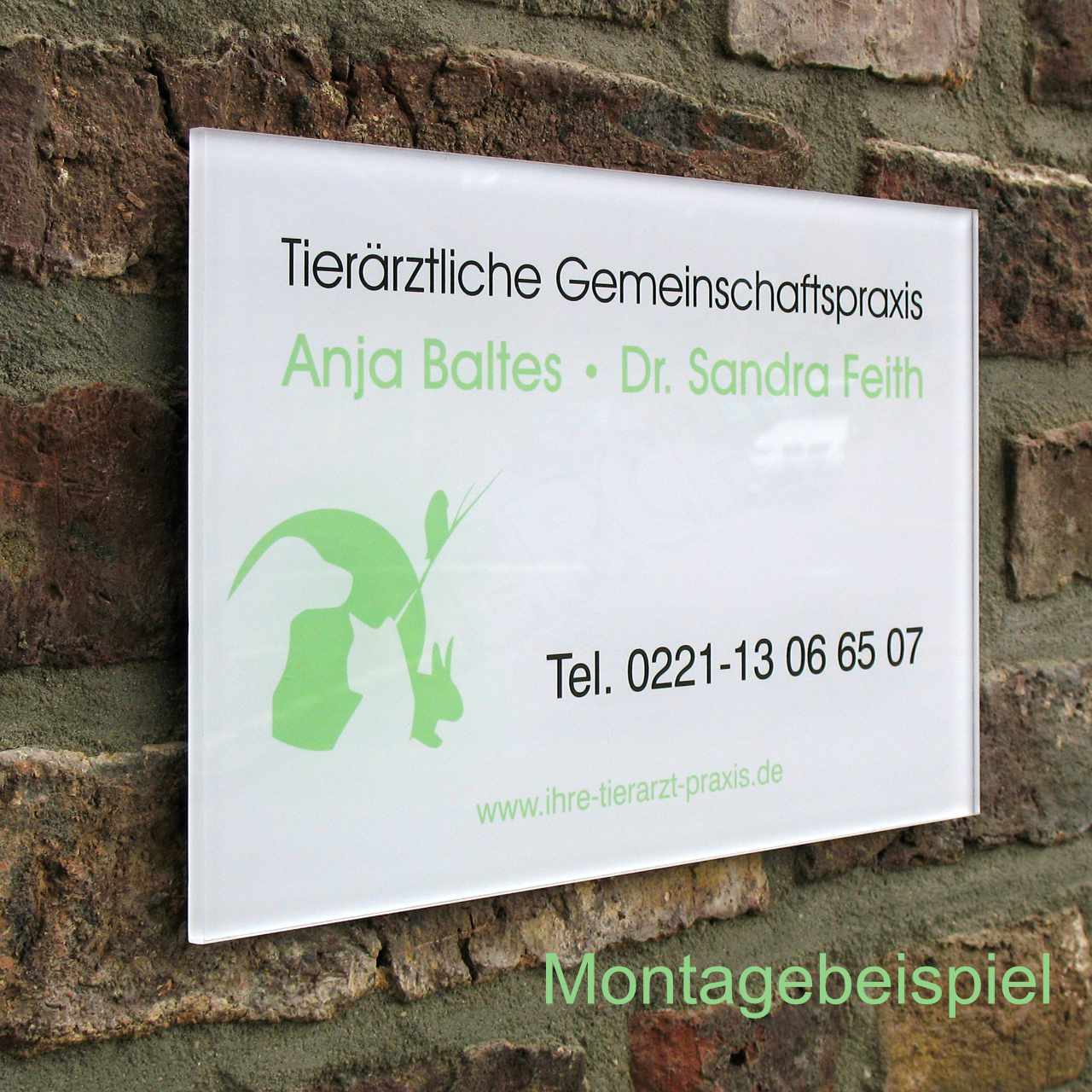 montagebeispiel.jpg