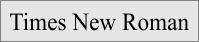 Times New Roman